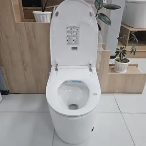 Умный унитаз, Душанбе