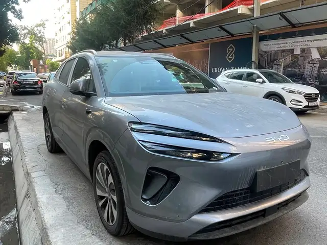 BYD Sea Lion 06