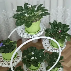 Подставка с цветами, Душанбе