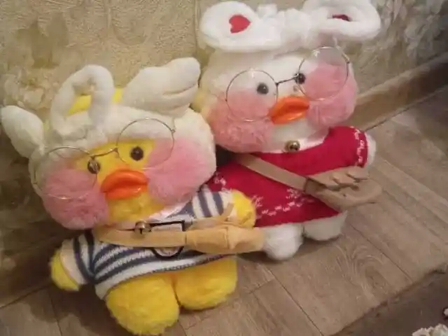 Утки Лалафон, Душанбе