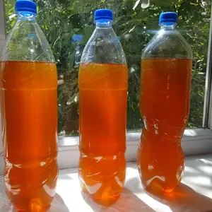 Асал, Душанбе