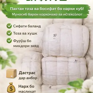 Пахта, Душанбе