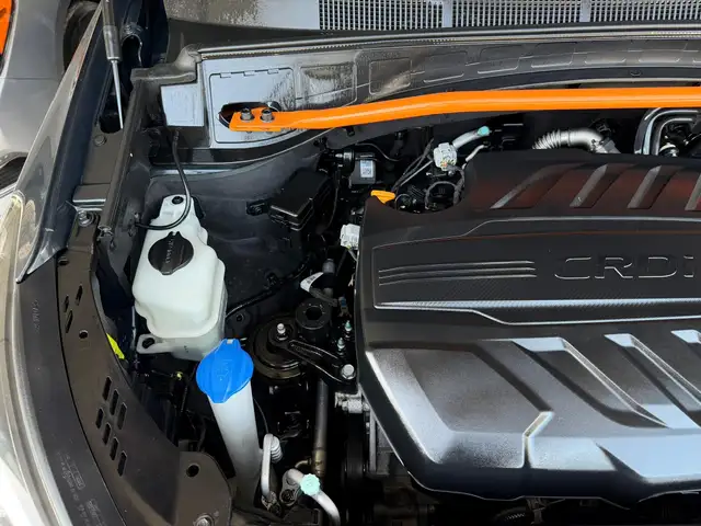 Hyundai Maxcruz