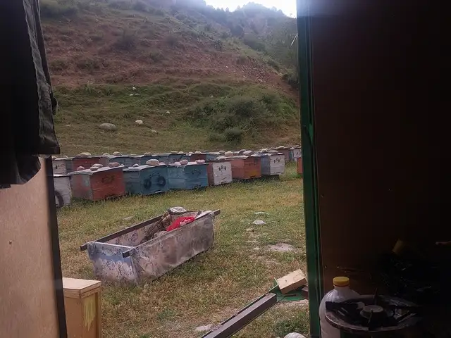 Медогон, Ховалинг