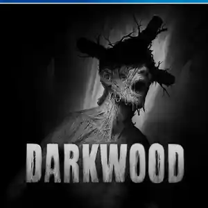 Игра Darkwood для PS-4 / 6.72 / 9.00 / 11.00 / 11.52 / 12.02 /, Душанбе