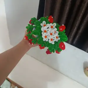 Клубника в горшке, Худжанд
