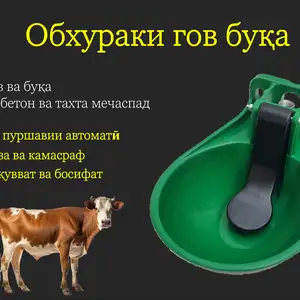 Обхурак/Поилкаи гов буқа асп, Душанбе
