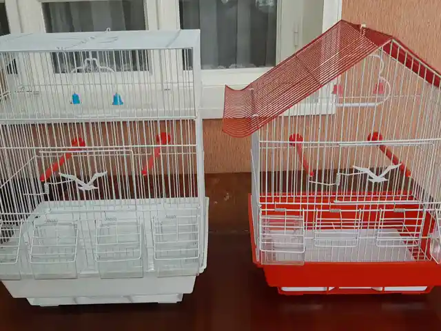Клетка, Хуҷанд