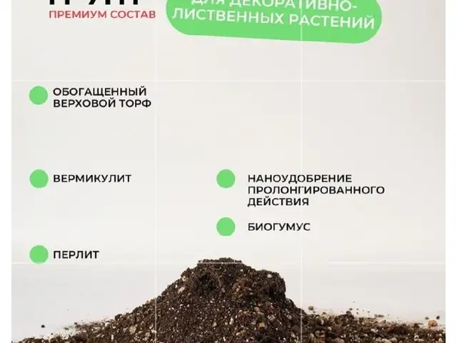 Грунт для комнатных цветов, Исфара