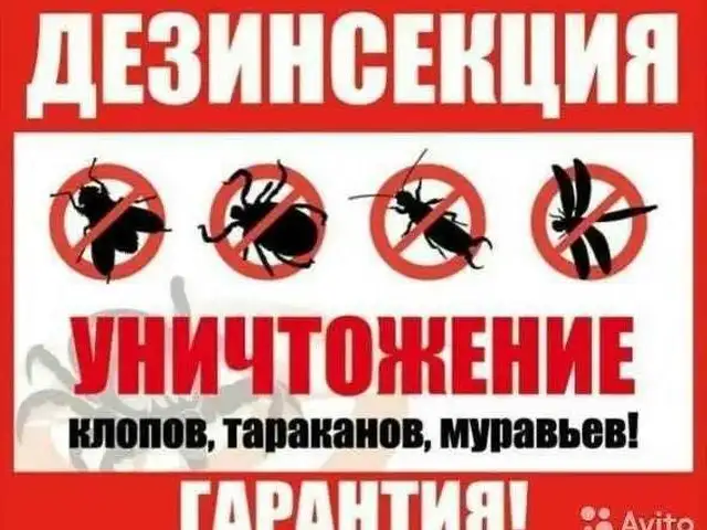 Дезинфекция от клопов и тараканов, Душанбе - 2