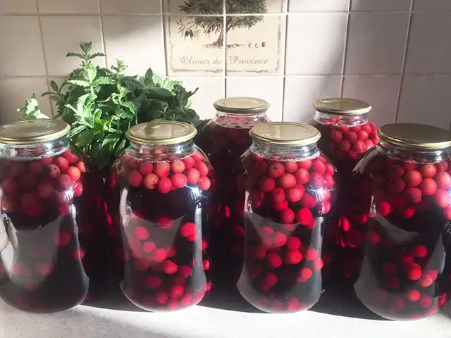 Компоти олуча/ компот из вишни, Хуҷанд