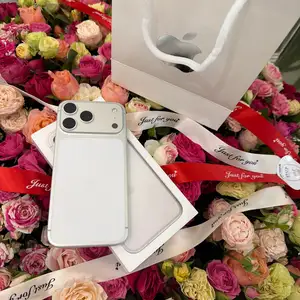 Apple iPhone 17 Pro Max, 1 tb, Silver, Душанбе