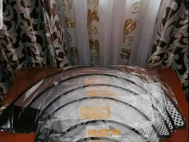 Воротник для собак, Душанбе