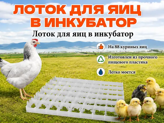 Лоток/Флейка/Ячейкаи тухми мурғ барои инкубатор, Душанбе