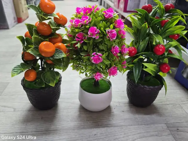 Искусственные цветы, Худжанд