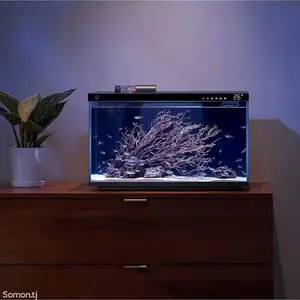 Умный аквариум Xiaomi Mijia Smart Fish Tank 20л, Душанбе