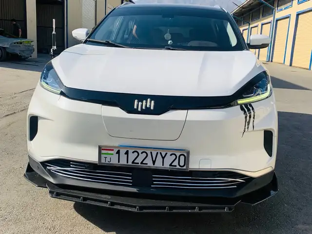 Weltmeister EX5