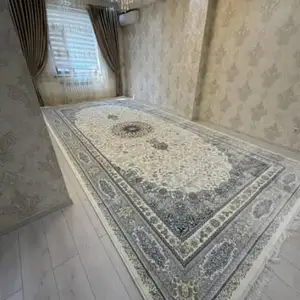 Колин, Душанбе