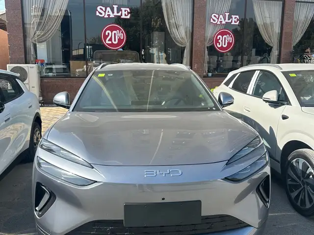 BYD Sea Lion 06