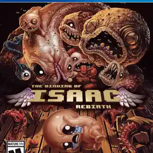 Игра The binding of isaac rebirth для PS-4 / 6.72 / 9.00 / 11.00 / 12.02 /, Душанбе