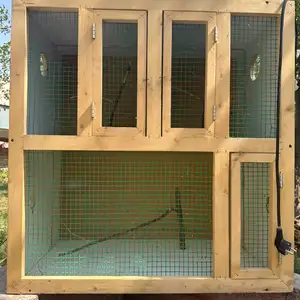 Клетка для птиц, Душанбе
