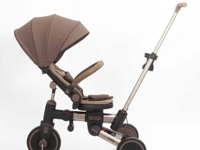 Велоколяска, Душанбе