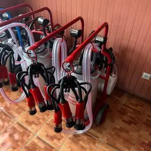 Доильный аппарат, Худжанд
