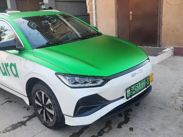 BYD E2