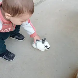 Харгушчахо, Душанбе