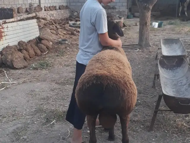 Кушкори Хисори, Хуҷанд