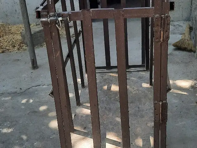 Тарозу барои гусфанд, Худжанд