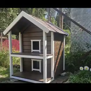 Домик для кошек, Душанбе