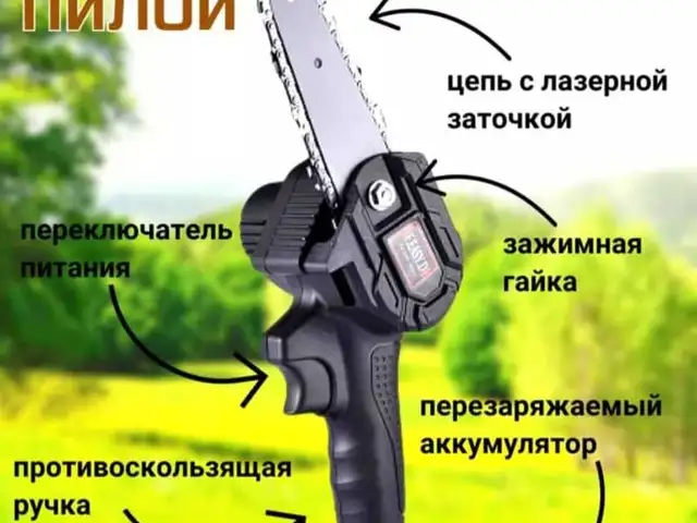 Цепная электропила, Исфара