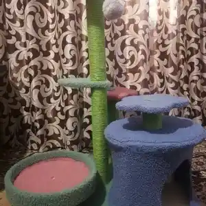 Домик для кошки, Душанбе