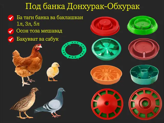Обхурак/Поилка под банка мурғ чуҷа, Душанбе