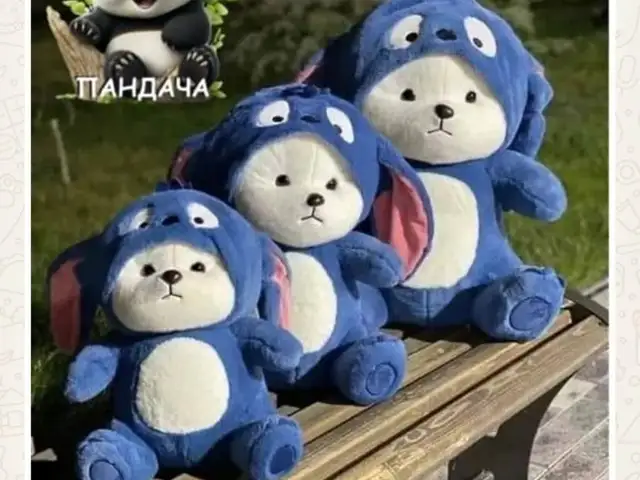 Мишка панда, Душанбе
