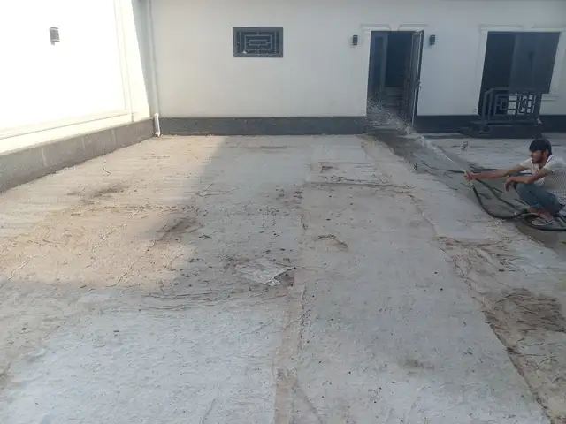 Тухми газон, Душанбе - 8