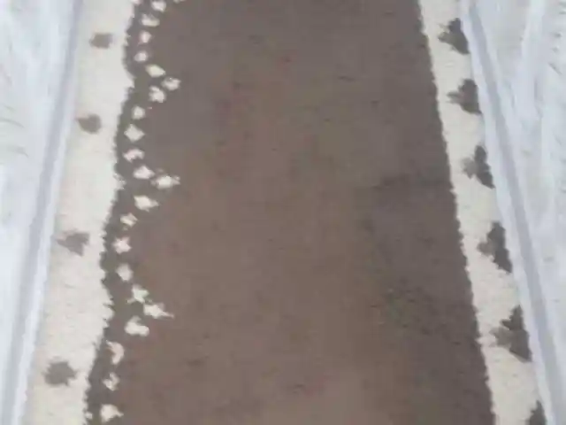 Дорожки, Душанбе