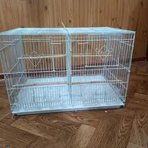 Клетка для птиц, Душанбе
