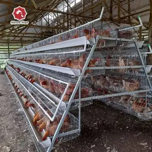 Кафасхои автомати барои мург, Душанбе