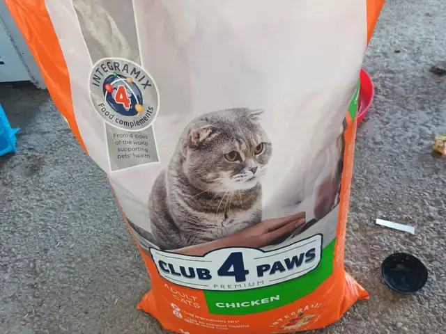 Корм для кошек, Хуҷанд