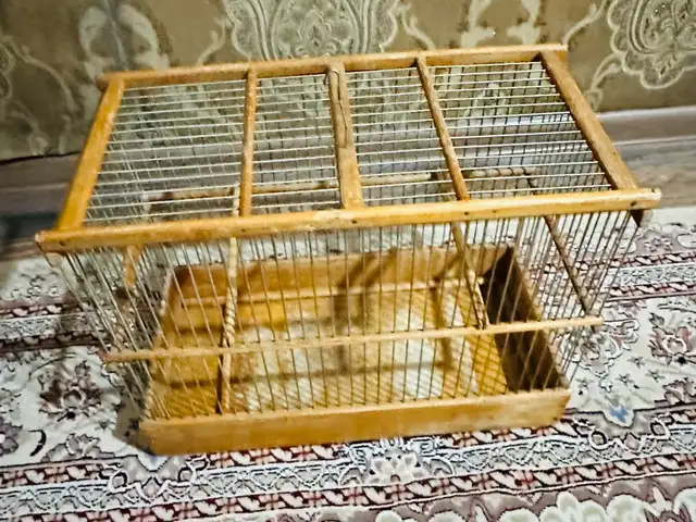 Клетка, Душанбе