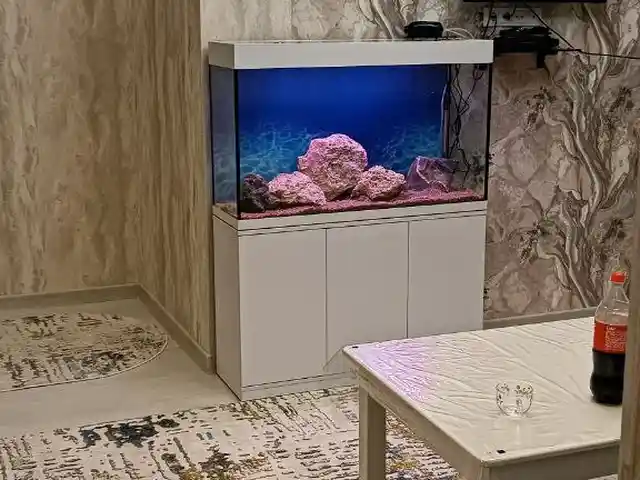 Аквариум, Худжанд