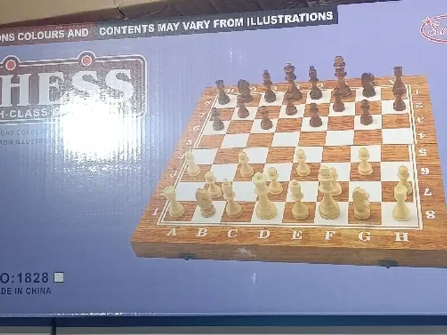 Шахматы, Душанбе
