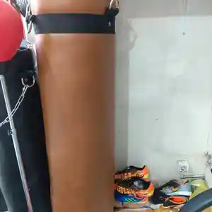 Груша 1'5метра, Душанбе