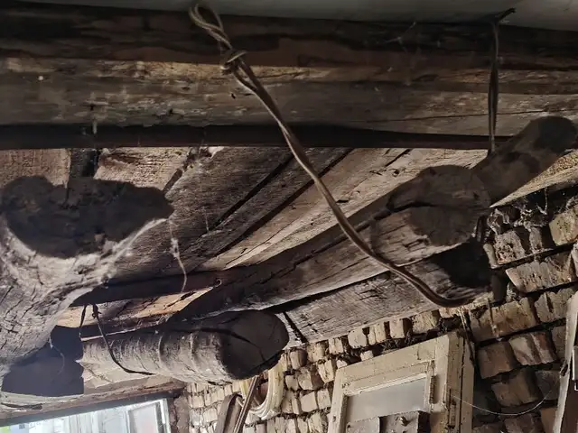Бревно, Худжанд