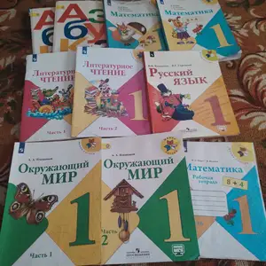 Книги для русских классов, Душанбе
