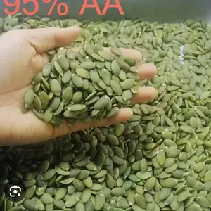 Донаи Каду, Душанбе