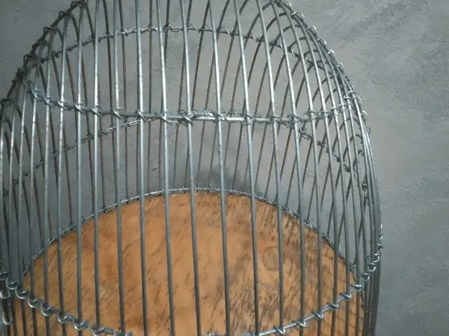 Клетка, Душанбе