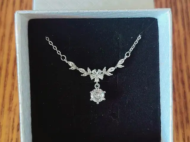 Ожерелье из стали, Душанбе